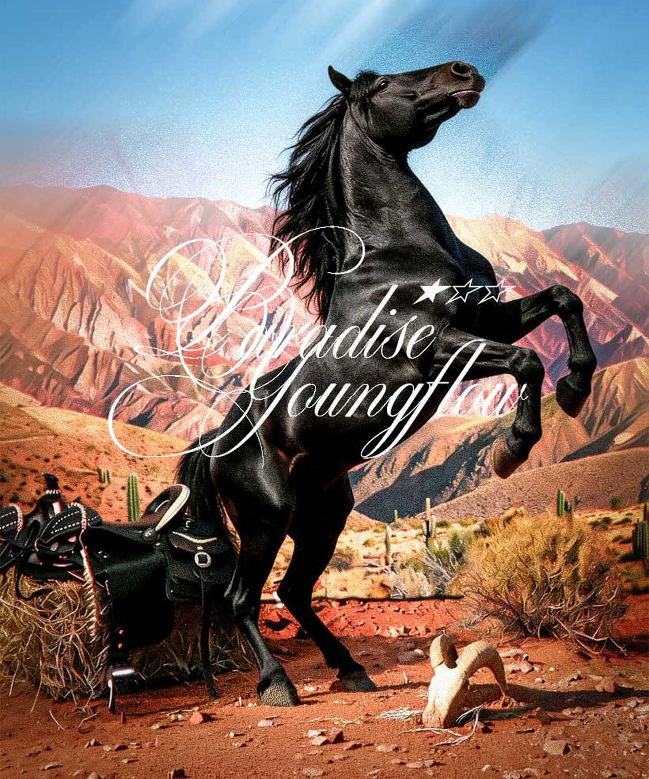 Nueva Colección CYMOOM